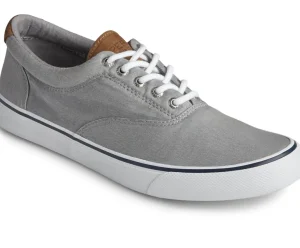 Discount Striper II CVO Sneaker Women Casual | Sneakers