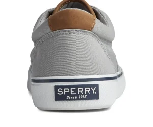 Discount Striper II CVO Sneaker Women Casual | Sneakers
