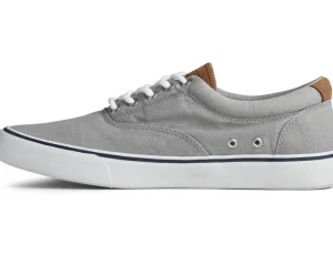 Discount Striper II CVO Sneaker Women Casual | Sneakers