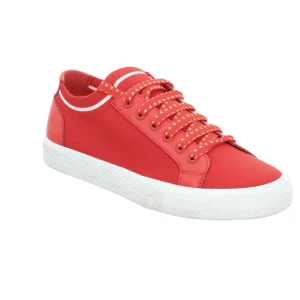 Discount Swan Women Sneakers